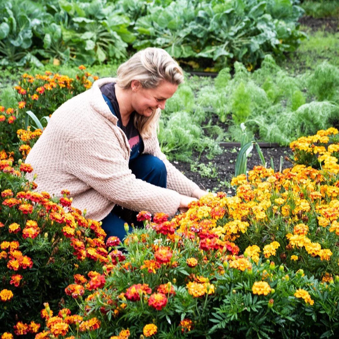 Customer avatar (Verified reviewer)