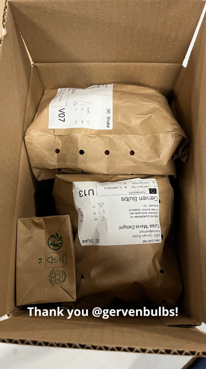 Picture from the packaging 